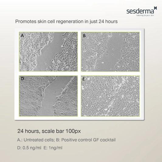 FACTOR G Renew Rejuvenating Serum